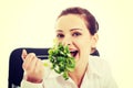 Businesswoman sitting and eating lettuce. Royalty Free Stock Photo