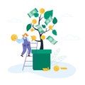 Businesswoman Stand on Ladder lean to Huge Potted Money Tree with Dollars Hanging on Branches Holding Golden Coin
