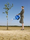 Businesswoman watering tree in desert full length