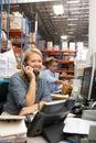 Businesswoman Working At Desk In Warehouse Royalty Free Stock Photo