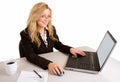 Businesswoman Working at her Laptop
