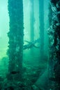 Busselton Jetty Artificial Reef with Scuba Diver Royalty Free Stock Photo