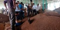 Bussiness people looking for fresh wheat grain seeds at wholesale market