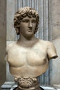 Bust of Antinous Royalty Free Stock Photo