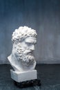 Bust of the Farnese Hercules. Heracles head sculpture, plaster copy of a marble statue. Son of Zeus, the ancient Greek Royalty Free Stock Photo