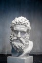 Bust of the Farnese Hercules. Heracles head sculpture, plaster copy of a marble statue. Son of Zeus, the ancient Greek Royalty Free Stock Photo
