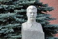 Bust of Joseph Stalin in the Background of a Pine Tree Royalty Free Stock Photo