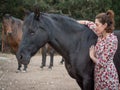 Bustarviejo, Spain.Female doing energy work on  black andalusian horse. Royalty Free Stock Photo