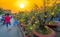 Bustle of locals flowers at flower market sunset sky, Royalty Free Stock Photo