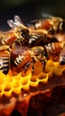 Bustling beehive in closeup worker bees industriously gather nectar, a symphony of activity