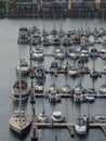 Bustling marina full of sailboats, motorboats, and yachts, all moored in the harbor