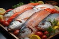Colorful fish in pristine chunks of ice on market stall window Royalty Free Stock Photo