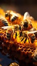 Bustling scene closeup of beehive, worker bees busy gathering nectar with vibrant energy