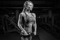 Busty blonde in a pink tracksuit posing in the gym with dumbbells. Fitness concept. H