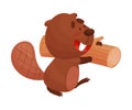 Busy Beaver Carrying Heavy Log for Building Dam Vector Illustration Royalty Free Stock Photo