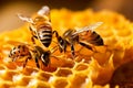 Busy Bees on Honeycomb Honey Production by a Hive, AI