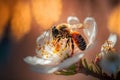 The Busy Bees of Manuka: A Close-Up Look at Honey Collection. Generative Ai