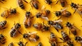 Busy bees working in unison. Royalty Free Stock Photo