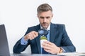 busy businessman look at plant through magnifying glass in business office Royalty Free Stock Photo