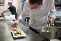 Busy chefs at work in the restaurant kitchen Royalty Free Stock Photo