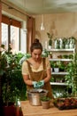 Busy female gardener wearing protective gloves holding green sprout while transplanting plants at home Royalty Free Stock Photo