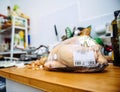 Busy kitchen interior with Unpacked from its plastic packaging fresh Capon