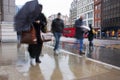 Busy london commuters in the pouring rain Royalty Free Stock Photo