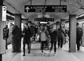 Busy New York City Train Station with People Traveling on Mass Transit Busy New York City Train Station with People Traveling on M