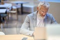 Busy old senior business man office executive using laptop sitting at work desk. Royalty Free Stock Photo