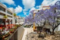 Busy touristic restaurants and bars with traditional Portuguese architecture and blue Jacaranda tree on foreground