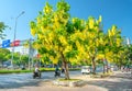 Busy traffic at boulevard with Cassia fistula flower tree blooms planted along roadside