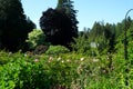 The famous gardens of Butchert on Victoria Island. Canada. The Butchart Gardens Royalty Free Stock Photo