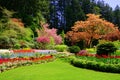 Butchart Gardens, Victoria, Canada, vibrant spring colors Royalty Free Stock Photo