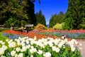 Butchart Gardens, Victoria, Canada, vibrant spring tulips