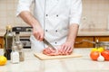 Butcher cutting meat on chopping board, professional cook holding knife and cutting meat.