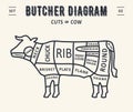 Butcher diagram and scheme - Beef,cow