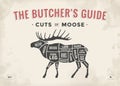 Butcher diagram, scheme - Moose Royalty Free Stock Photo