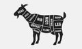 Butcher diagram, scheme set. Royalty Free Stock Photo