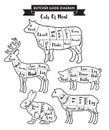 Butcher guide cuts of meat diagram.