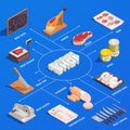 Butcher Isometric Flowchart