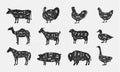 Butcher Meat cuts set. Butcher\'s posters design.