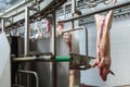 Butcher in meat industry interior