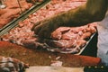 Butcher arranging slices of meat