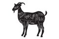 Butcher`s guide - goat, mutton - vector illustration