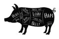 Butcher`s guide - pork, pig - vector illustration