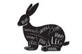 Butcher`s guide - rabbit - vector illustration