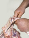 butcher's hands cutting pork meat, Closeup of ribs being cut in butcher kitchen