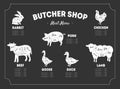 Butcher Shop Label, Meat Menu, Farm Animals and Poultry with Meat Cuts Lines, Vintage Vector Illustration