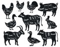 Butcher shop scheme. Meat cuts, pork, chicken, beef and rabbit butcher shop silhouette. Vintage butcher shop schemes