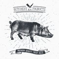 Butcher Shop vintage emblem pork meat products, butchery Logo template retro style. Vintage Design for Logotype, Label, Badge and